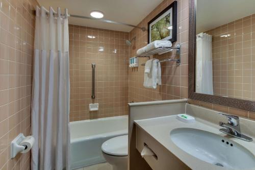 阿诺德圣路易斯-阿诺德佩特里酒店的一间带水槽、卫生间和镜子的浴室