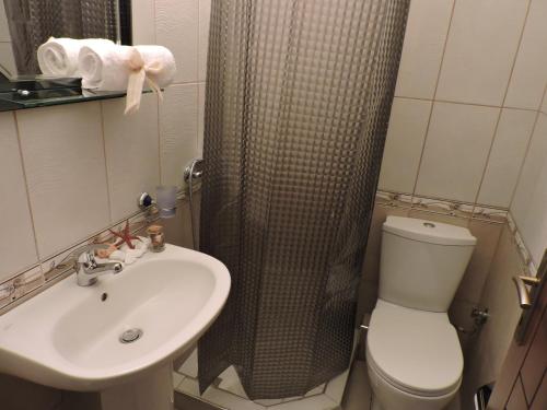 阿莫利亚尼岛Apart Boutique Giorgos的一间带水槽、卫生间和淋浴的浴室