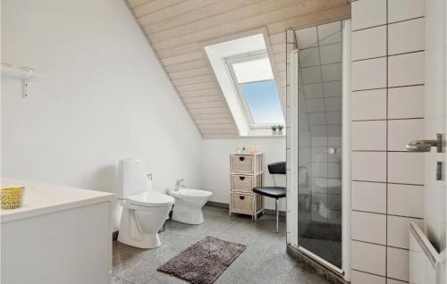 尤尔斯明讷Gorgeous Home In Juelsminde With Wifi的一间带卫生间、水槽和镜子的浴室