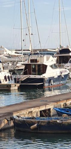 Salerno Yacht