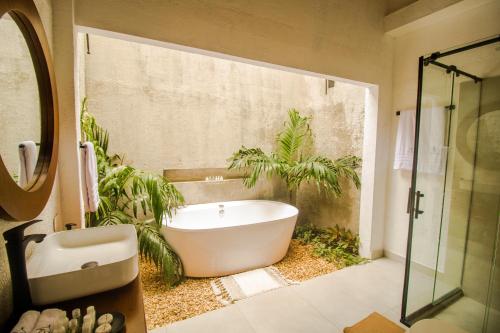 蒙波斯LITERATIUM的带浴缸和植物的浴室