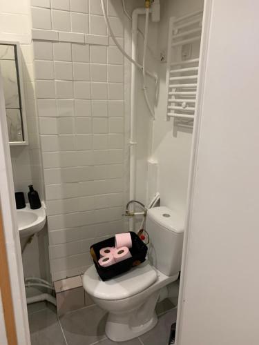 奥比松Studio en plein cœur d’aubusson的浴室设有卫生间,配有Hello Kitty枕头。