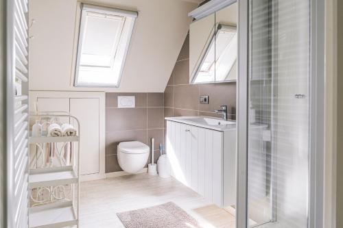 马尔德海姆De Burkelhoeve appC的浴室配有卫生间、水槽和天窗。
