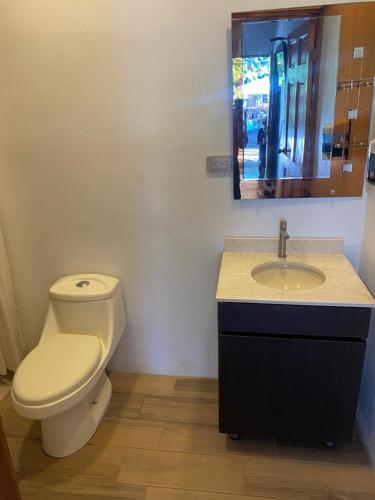 托尔图格罗Legoon View的一间带卫生间、水槽和镜子的浴室