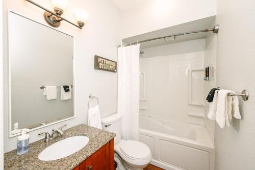 匹兹堡Pittsburgh's Sports Suite- FREE driveway Parking的一间带水槽、卫生间和淋浴的浴室