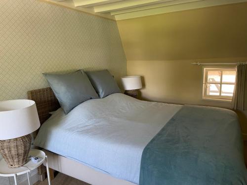 NuthVakantiewoning Hof7tien90的一间卧室配有一张带蓝色枕头的床和一扇窗户。