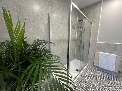 牛顿索内The Unicorn Inn的带淋浴和植物的浴室