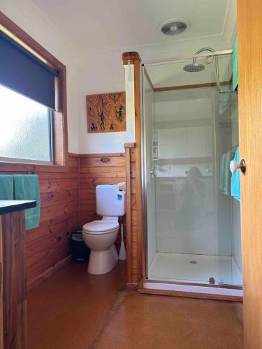 普林斯敦Vayu Vista的一间带卫生间和玻璃淋浴间的浴室