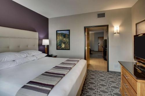 阿尔伯克基阿尔伯克基北德鲁宾馆的一间卧室配有一张大床和一台平面电视