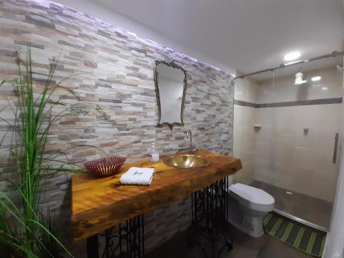 金巴亚Villa Luzandi的一间带水槽和卫生间的浴室