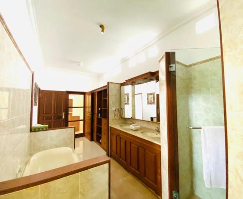 沙努尔巴厘岛翡翠别墅酒店的带浴缸、水槽和镜子的浴室