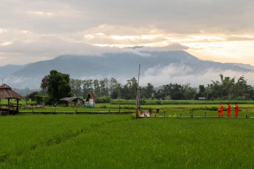 Chiang KlangSangthong Resort at Chiang Klang的两个人站在一个山地的田野上