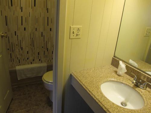 吉姆索普马卡罗索灯笼汽车旅馆的一间带水槽、卫生间和镜子的浴室