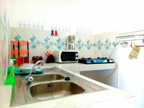 马哈赞加La villa flamboyant的厨房配有水槽和微波炉