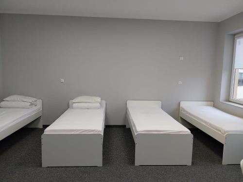 耶莱尼亚古拉Hostel Anilux的客房设有两张床和窗户。