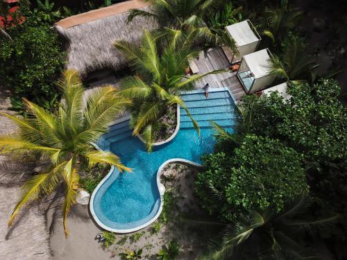 博卡奇卡The Resort at Isla Palenque Member of the Cayuga Collection的享有棕榈树游泳池的顶部景致
