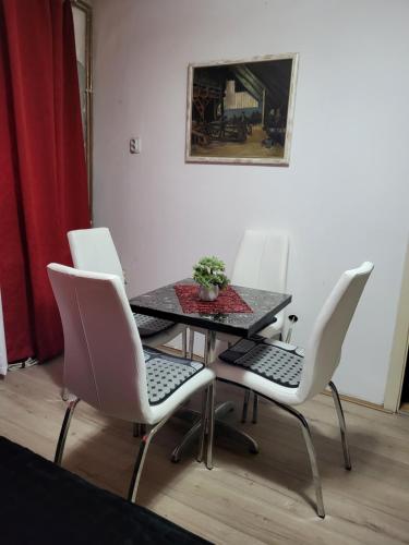 莱斯科瓦茨Vila Mala Evropa的餐桌,配有白色椅子和植物