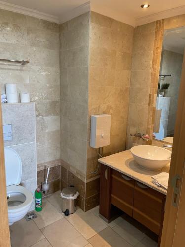 卡吉柯克gold city alanya appartement的一间带水槽和卫生间的浴室