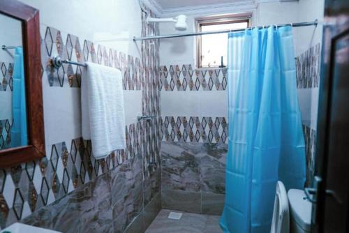 内罗毕Barre Hotel的一间带蓝色淋浴帘的淋浴的浴室