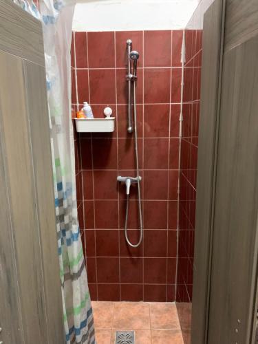 布达佩斯Carpe Noctem Hostel的一间铺有红色瓷砖的淋浴浴室