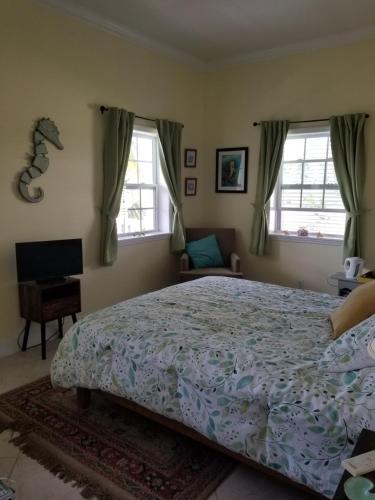 自由港市Lakeview bed & breakfast的一间卧室设有一张大床和两个窗户。