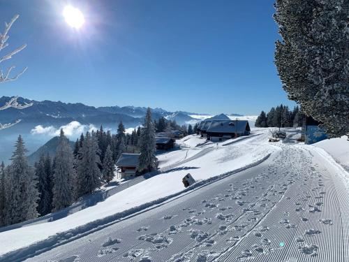 菲茨瑙Rigi-Scheidegg Ferienwohnungen West XL的雪覆盖的滑雪场,有滑雪小屋和树木