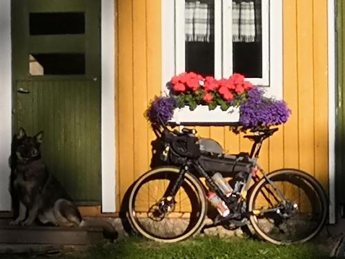 KonnevesiSuopirtti bed & breakfast的停在鲜花房子前面的自行车