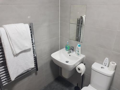 达德利Stunning 1-Bed Apartment in Brierley Hill的浴室配有白色卫生间和盥洗盆。