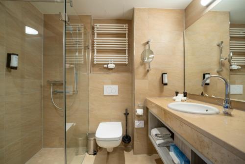 科隆多姆弗瑞赫伊登酒店的浴室配有卫生间、盥洗盆和淋浴。