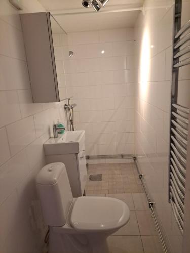 延雪平Lägenhet Huskvarna的白色的浴室设有卫生间和镜子