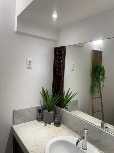 拉特里尼泰Sous les tropiques的一间带水槽和镜子的浴室