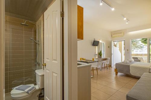 加藤-达拉特索狄奥村公寓的一间带卫生间和淋浴的浴室以及一间卧室