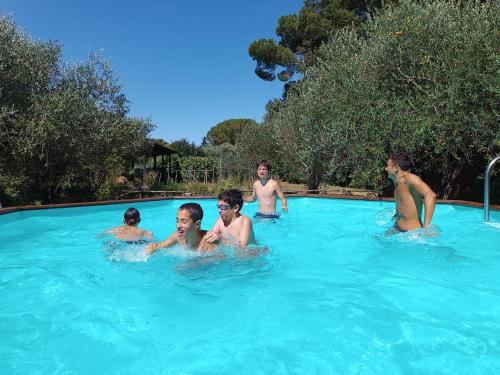 维泰博Agriturismo la Romanella的一群人在游泳池里