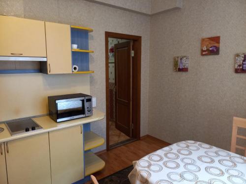 陶格夫匹尔斯Daugavpils City Centеr Apartment的带微波炉的小厨房