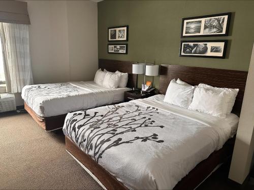 昆斯伯里Sleep Inn & Suites Queensbury - Lake George的一间酒店客房,房间内设有两张床