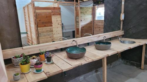 Colonia ChapadmalalJardin de Epicuro的浴室柜台设有两个水槽和盆栽植物