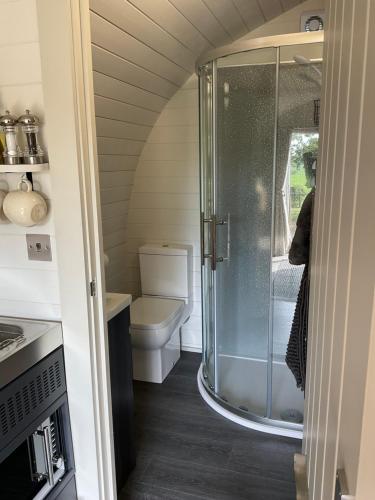 什鲁斯伯里Secluded Cosy Luxury Pod的带淋浴和卫生间的浴室