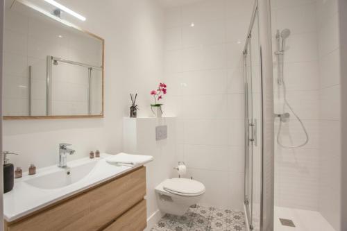 格勒诺布尔Sur les Traces du chevalier Bayard的浴室配有卫生间、盥洗盆和淋浴。