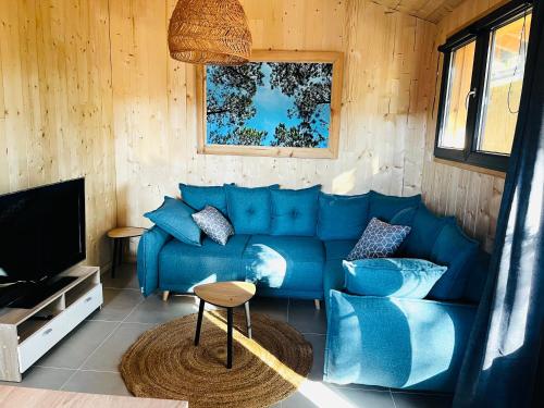 雷日卡普费雷La cabane 56 - calme - cosy - nature - sans vis-à-vis的客厅配有蓝色的沙发和电视