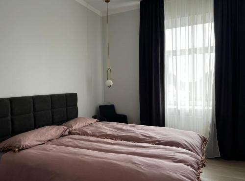 叶尔加瓦Raina apartment Gold的一间卧室设有一张大床和一个窗户。