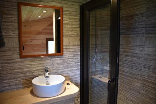 弗鲁蒂亚尔Cabañas Raki的一间带水槽、镜子和淋浴的浴室