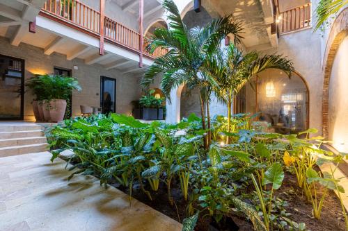 卡塔赫纳Cinco Quintas Hotel Boutique By SOHO的一间有一堆植物的房间