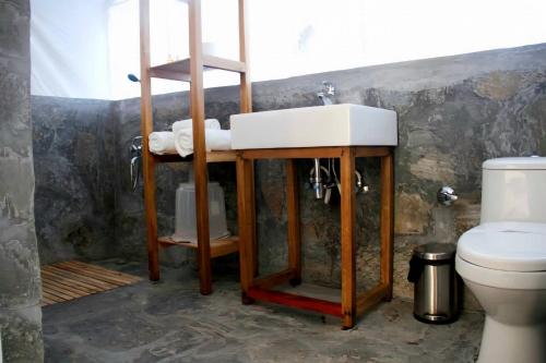 柴尔Hail Himalayas的一间带水槽和卫生间的浴室