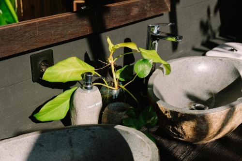 BalianDesa Cabins的花瓶里带水槽和植物的浴室