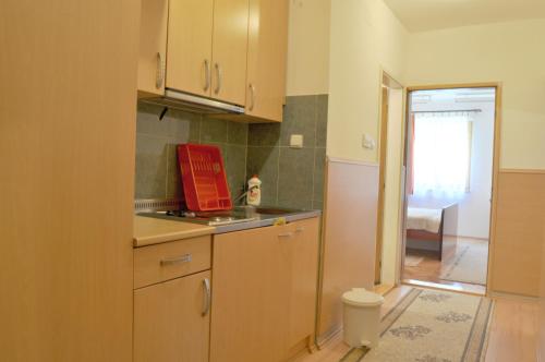 兹拉蒂博尔Apartment Evropa的厨房配有水槽和台面