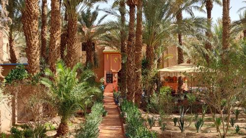 扎古拉Riad le petit jardin的前面有棕榈树的房子