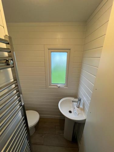BarmstonThe Vale @Barmston的一间带水槽和卫生间的浴室以及窗户。