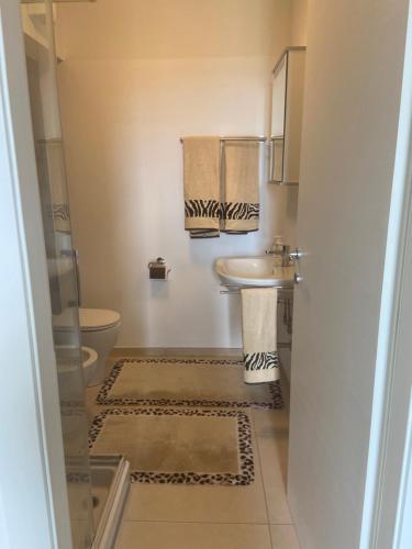 马斯诺维斯康蒂Casa Leone的浴室配有盥洗盆、卫生间和毛巾。