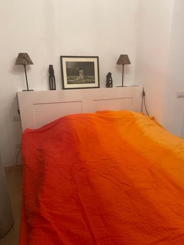 马斯诺维斯康蒂Casa Leone的一张带橙色毯子和两盏灯的床