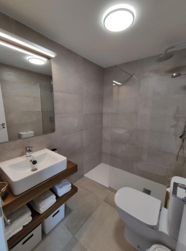 萨阿拉德洛斯阿图内斯CASA ROMPEOLAS Atlanterra的一间带水槽、卫生间和淋浴的浴室